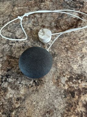 Google Home Mini Charcoal Gray